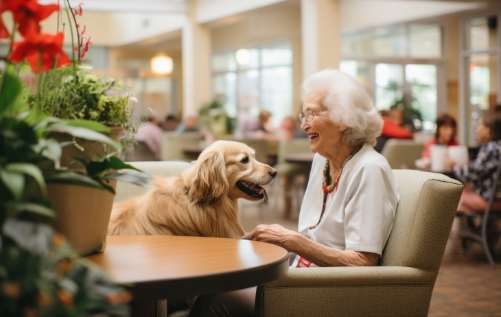 care homes feature