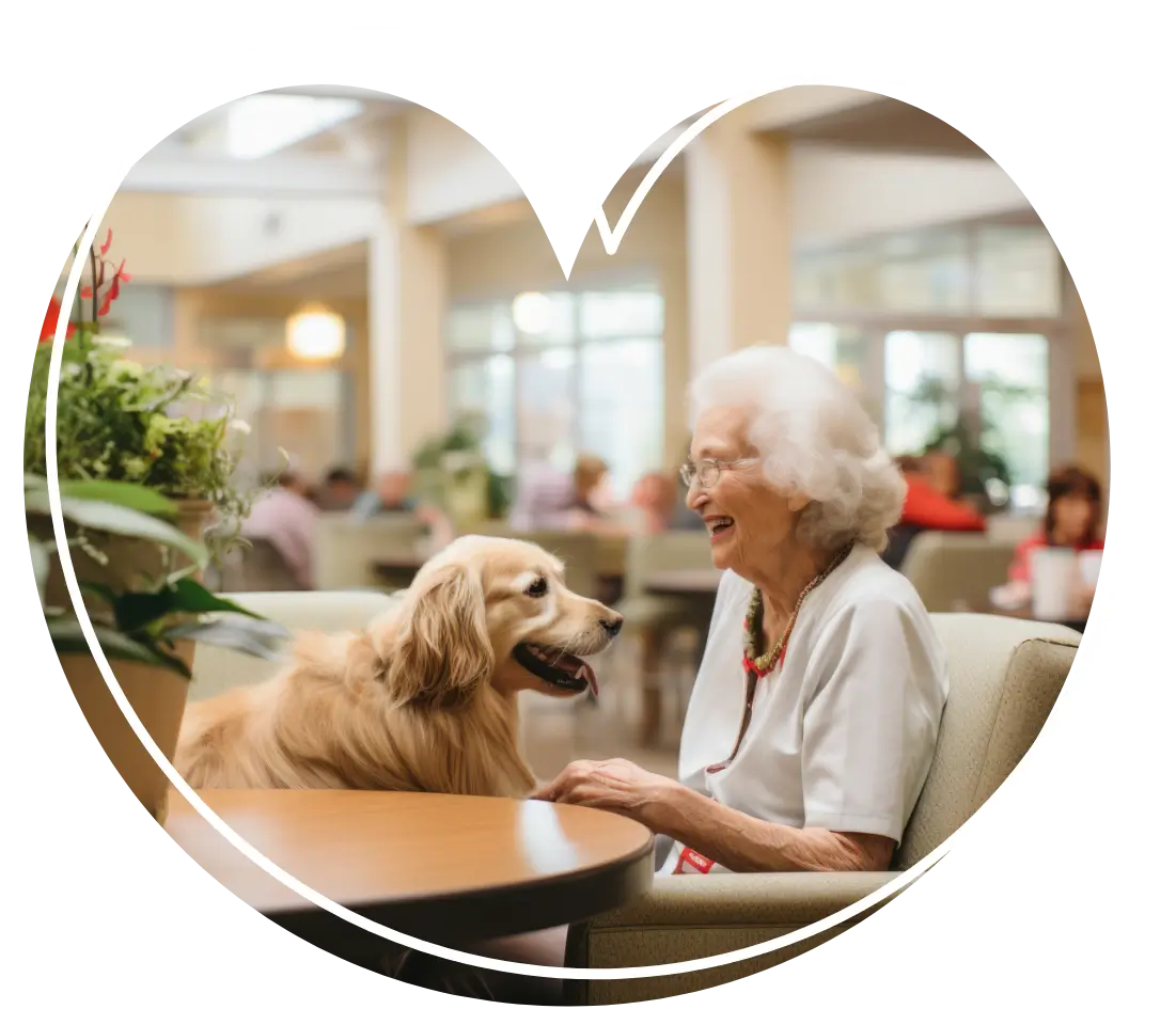 Why care home marketing image